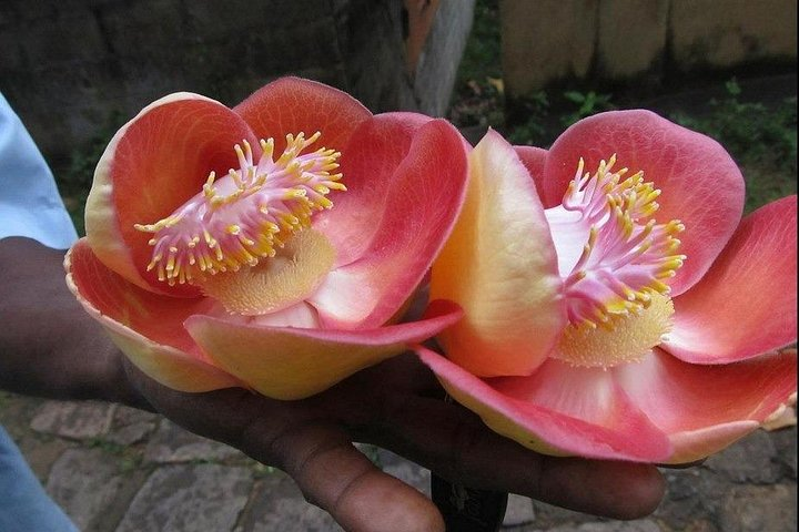 Airport Transfers, Taxi Service - Photo 1 of 4